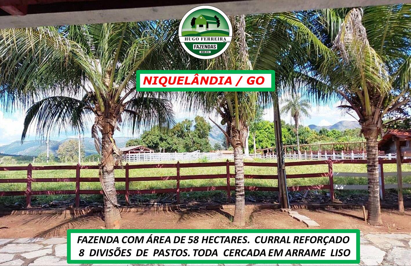 Chãozão - O Maior Portal de Anúncios de Imóveis Rurais do Brasil.
