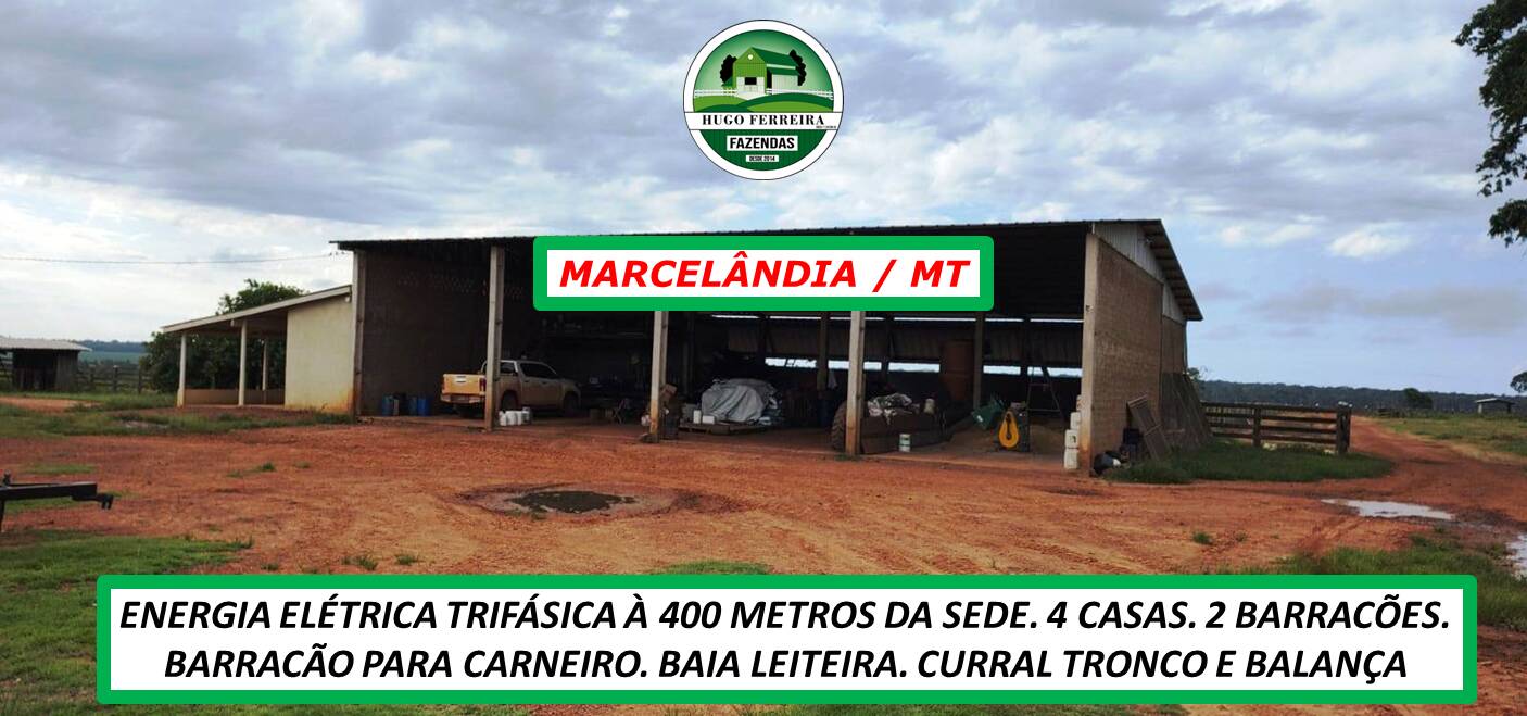 Chãozão - O Maior Portal de Anúncios de Imóveis Rurais do Brasil.