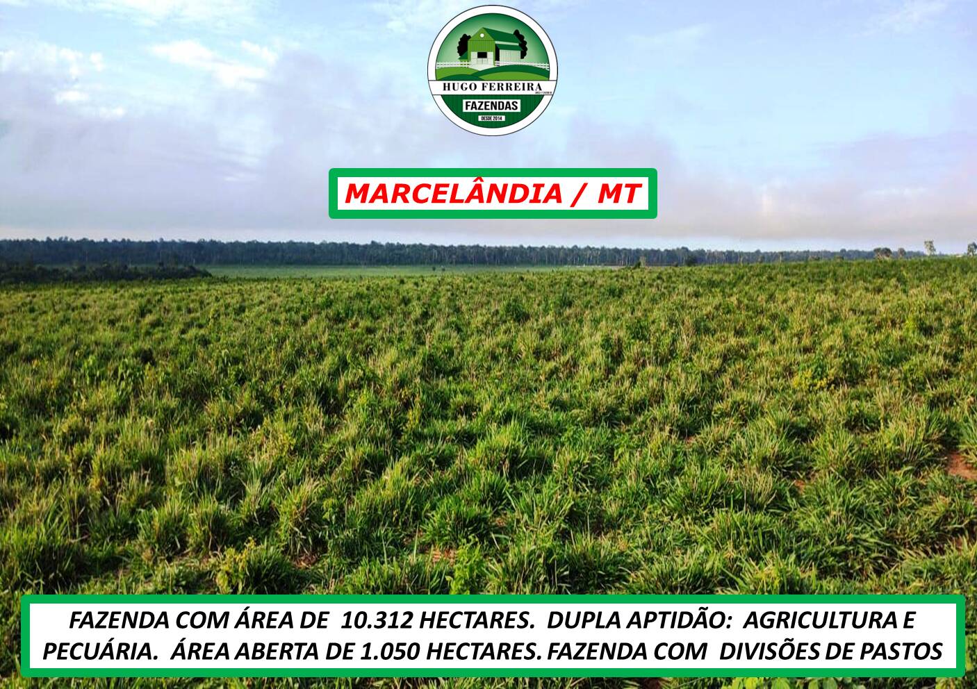 Chãozão - O Maior Portal de Anúncios de Imóveis Rurais do Brasil.