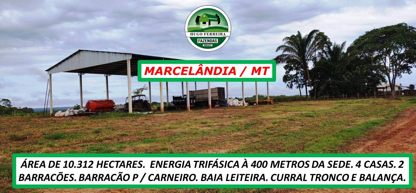 Chãozão - O Maior Portal de Anúncios de Imóveis Rurais do Brasil.