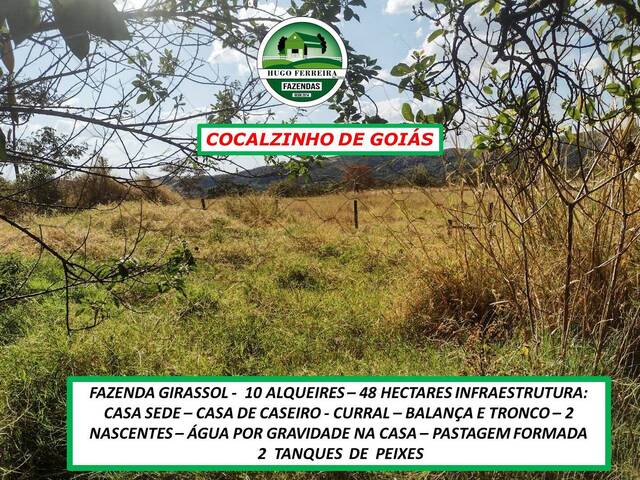 #0077 - Fazenda para Venda em Cocalzinho de Goiás - GO - 2