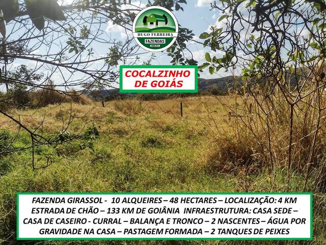 #0077 - Fazenda para Venda em Cocalzinho de Goiás - GO - 3