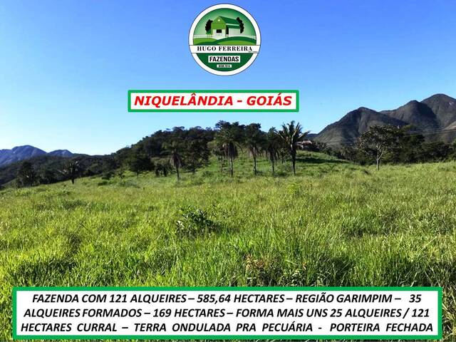 #0903 - Fazenda para Venda em Niquelândia - GO - 3