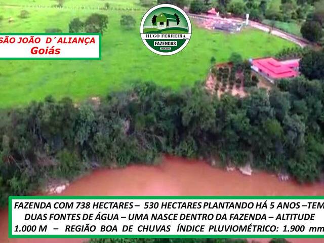 #0380 - Fazenda para Venda em São João d`Aliança - GO - 3