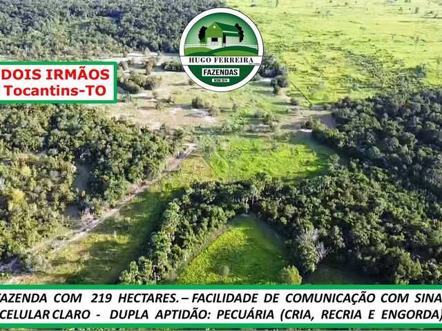 #0910 - Fazenda para Venda em Dois Irmãos do Tocantins - TO - 2