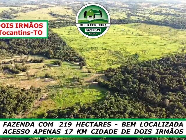 #0910 - Fazenda para Venda em Dois Irmãos do Tocantins - TO - 3