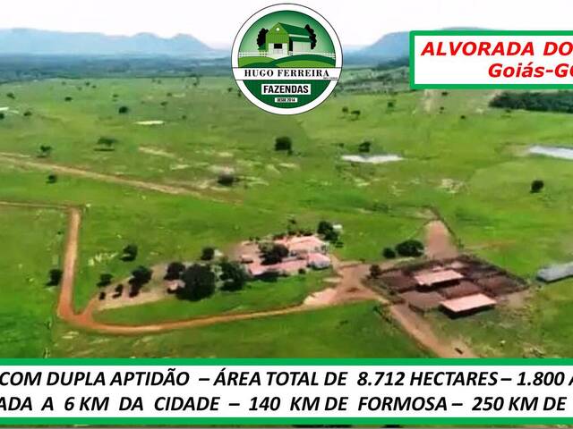 #1233 - Fazenda para Venda em Alvorada do Norte - GO - 1
