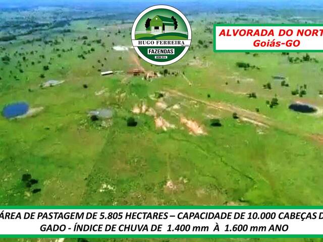 #1233 - Fazenda para Venda em Alvorada do Norte - GO - 3