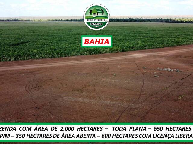 #139 - Chácara para Venda em Barreiras - BA - 2