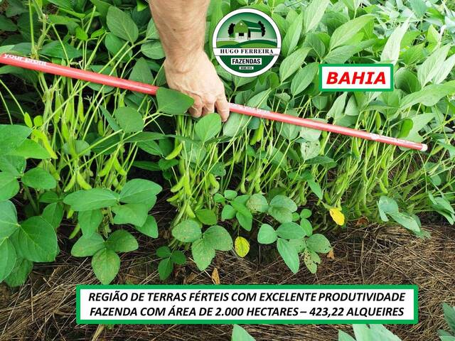 #139 - Chácara para Venda em Barreiras - BA - 3