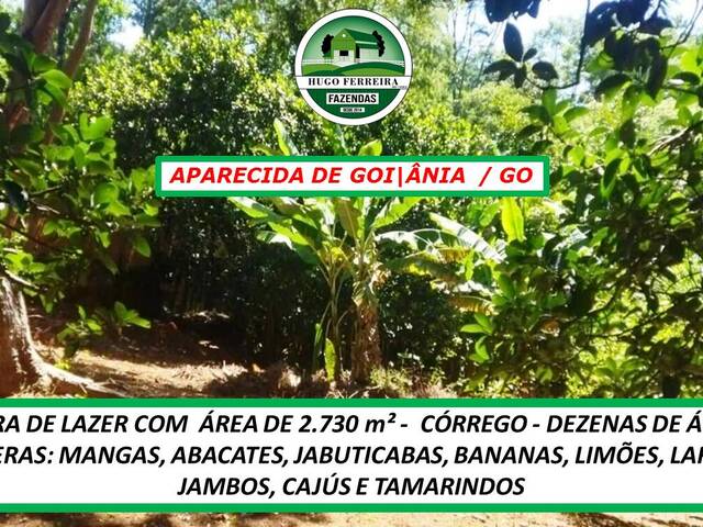 #154 - Chácara para Venda em Aparecida de Goiânia - GO - 3