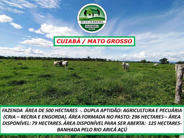 #510 - Fazenda para Venda em Cuiabá - MT