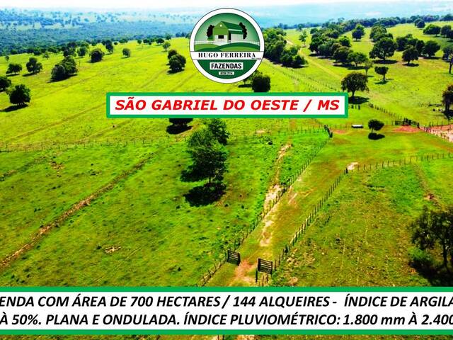  para  em  - 3
