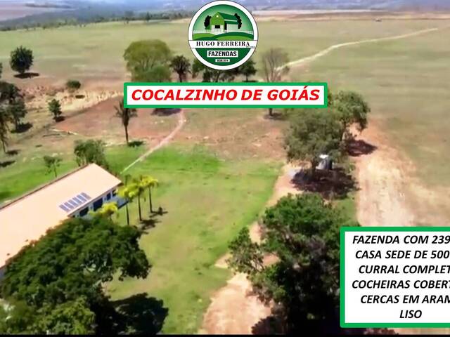  para  em  - 3