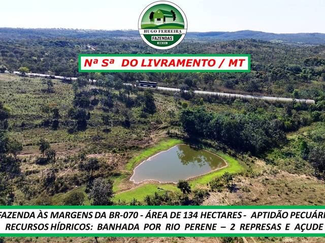 #181 - Fazenda para Venda em Nossa Senhora do Livramento - MT