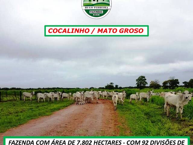 #185 - Fazenda para Venda em Cocalinho - MT - 3