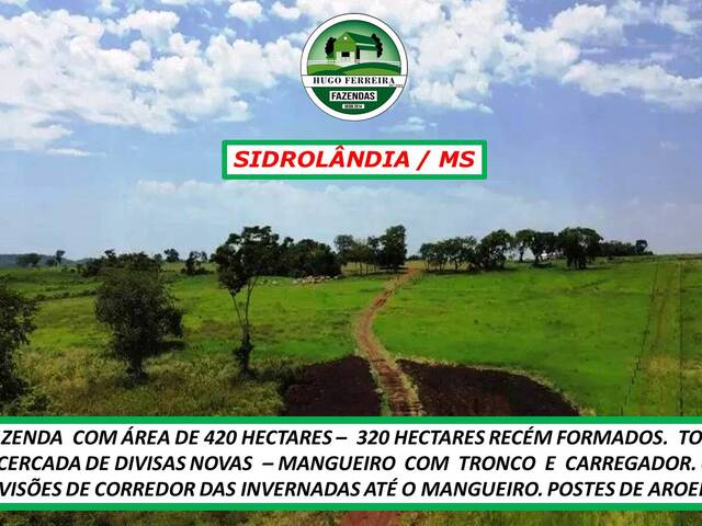 #189 - Chácara para Venda em Sidrolândia - MS - 2