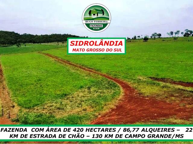 #189 - Chácara para Venda em Sidrolândia - MS - 3