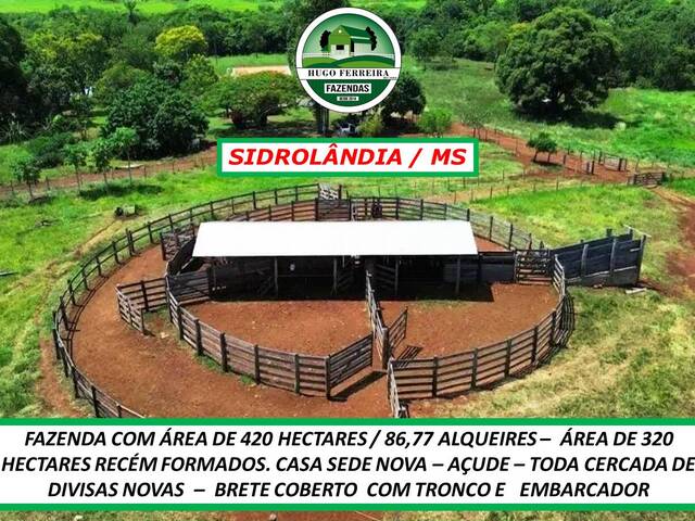 #189 - Chácara para Venda em Sidrolândia - MS - 1
