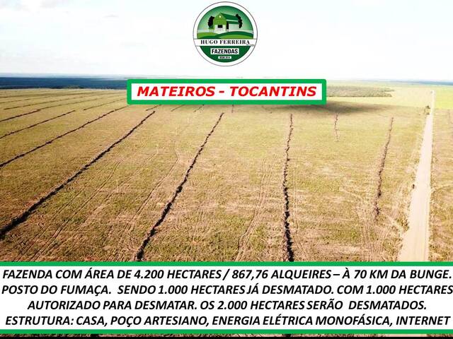 #195 - Fazenda para Venda em Mateiros - TO