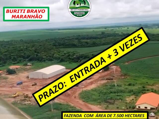  para  em  - 2