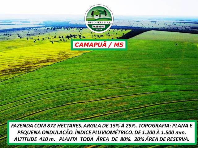#201 - Fazenda para Venda em Camapuã - MS - 3