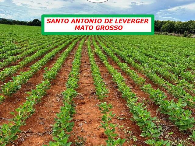 #206 - Fazenda para Venda em Santo Antônio do Leverger - MT