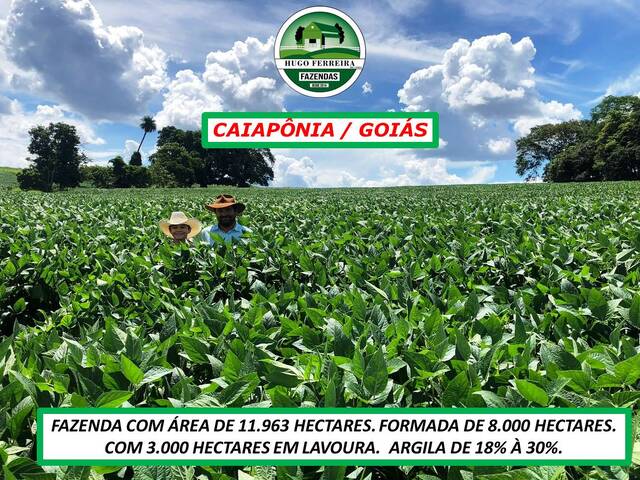 #207 - Fazenda para Venda em Caiapônia - GO - 2
