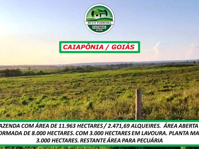 #207 - Fazenda para Venda em Caiapônia - GO - 3
