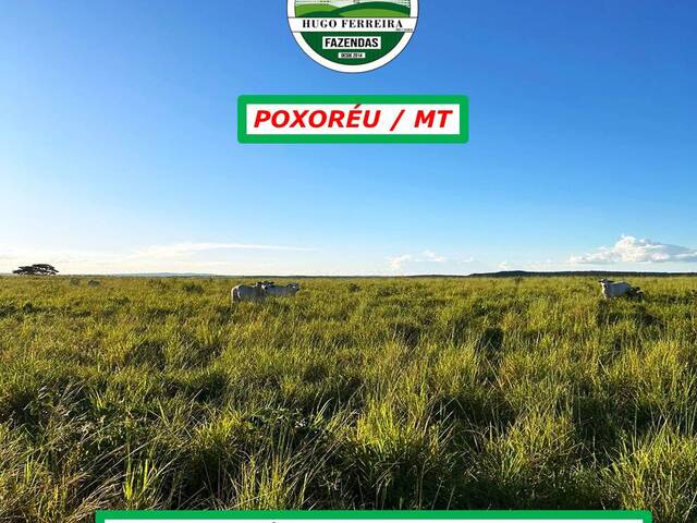 #210 - Fazenda para Venda em Poxoréo - MT - 2