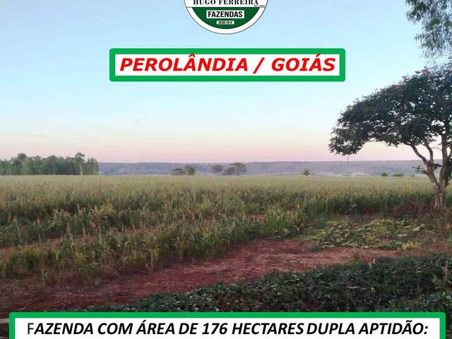  para  em  - 3