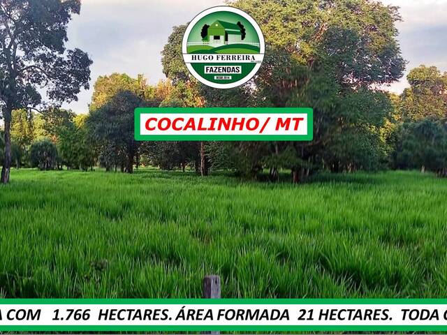 #217 - Fazenda para Venda em Cocalinho - MT - 2