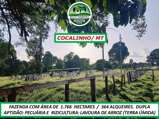 #217 - Fazenda para Venda em Cocalinho - MT - 3