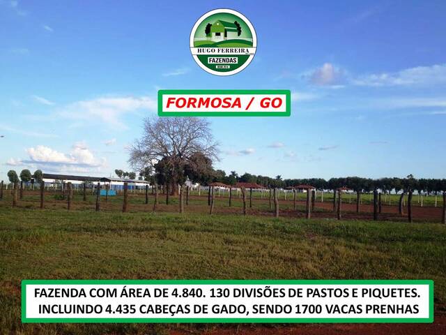 #0219 - Fazenda para Venda em Formosa - GO - 2