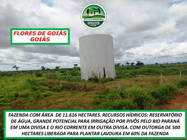#220 - Fazenda para Venda em Flores de Goiás - GO - 2