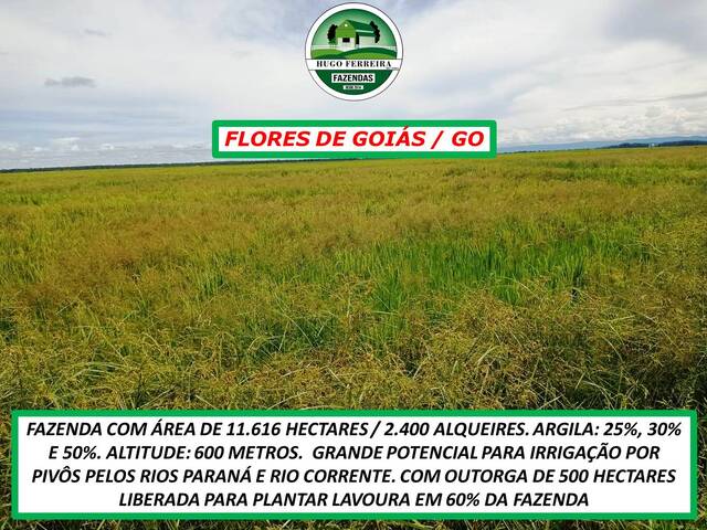 #220 - Fazenda para Venda em Flores de Goiás - GO - 3