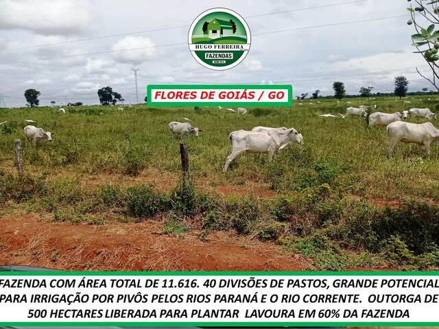  para  em  - 5