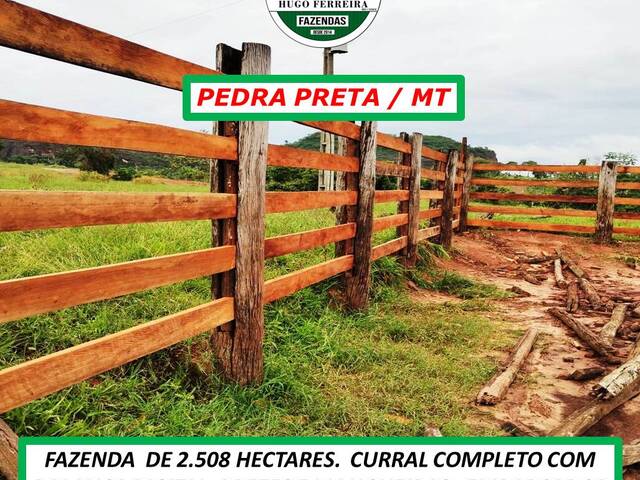 #2221 - Chácara para Venda em Pedra Preta - MT - 2
