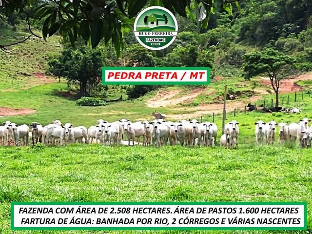 #2221 - Chácara para Venda em Pedra Preta - MT - 1