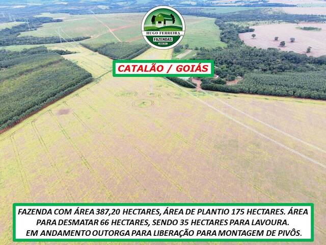 #2237 - Fazenda para Venda em Catalão - GO