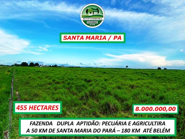 #0001 - Fazenda para Venda em Santa Maria do Pará - PA