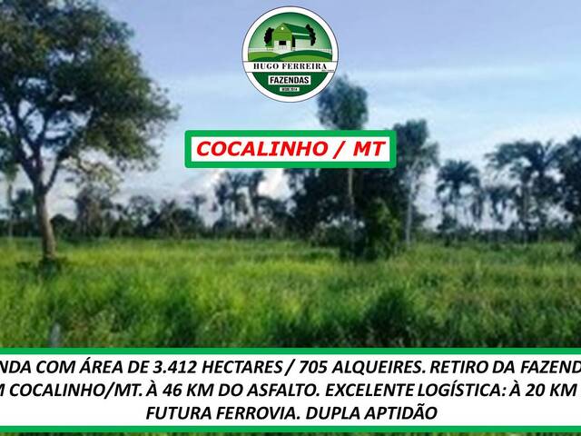 #2251 - Fazenda para Venda em Cocalinho - MT - 2
