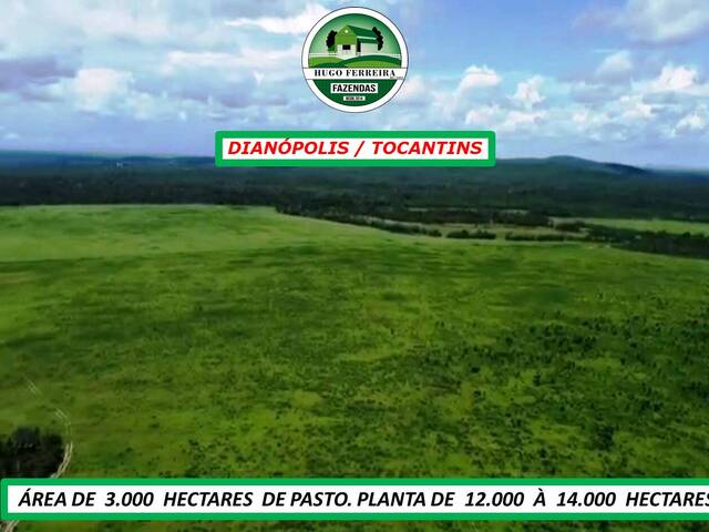#2270 - Chácara para Venda em Dianópolis - TO - 1