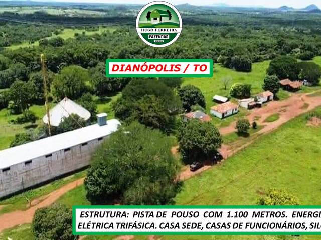 #2270 - Chácara para Venda em Dianópolis - TO - 2
