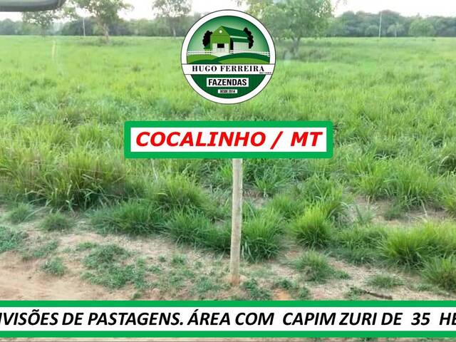 #2280 - Fazenda para Venda em Cocalinho - MT - 2