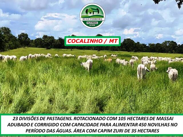 #2280 - Fazenda para Venda em Cocalinho - MT - 3