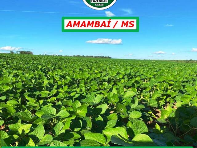 #2366 - Fazenda para Venda em Amambaí - MS