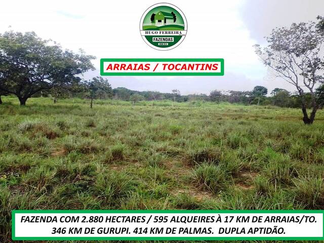 #2390 - Fazenda para Venda em Arraias - TO - 3
