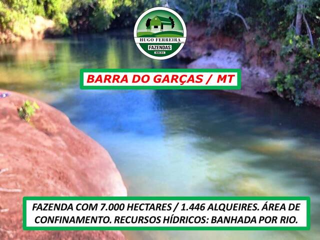 #2424 - Fazenda para Venda em Barra do Garças - MT - 3