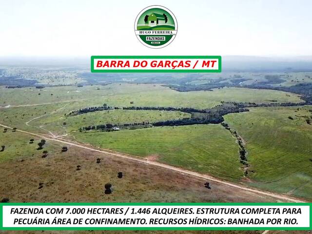  para  em  - 5